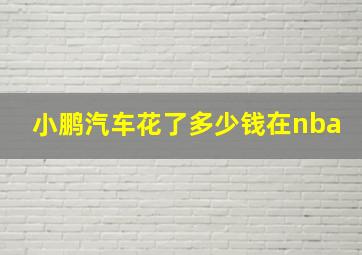 小鹏汽车花了多少钱在nba