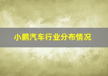 小鹏汽车行业分布情况