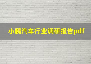 小鹏汽车行业调研报告pdf