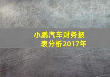 小鹏汽车财务报表分析2017年