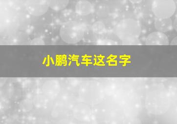 小鹏汽车这名字