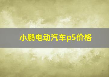 小鹏电动汽车p5价格