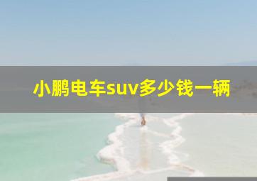 小鹏电车suv多少钱一辆