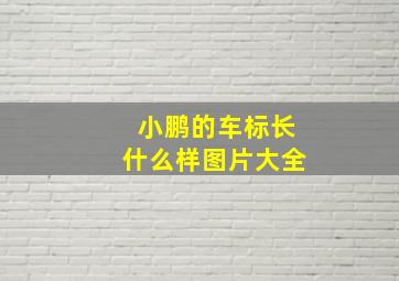 小鹏的车标长什么样图片大全