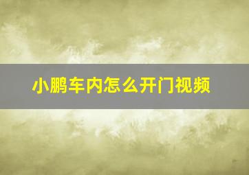 小鹏车内怎么开门视频