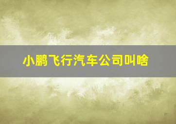 小鹏飞行汽车公司叫啥