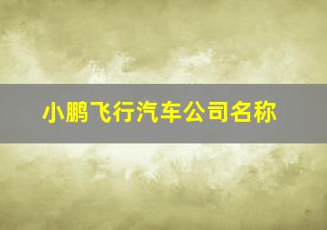 小鹏飞行汽车公司名称