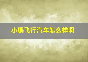 小鹏飞行汽车怎么样啊