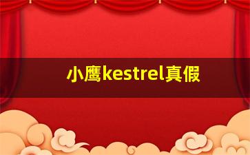 小鹰kestrel真假