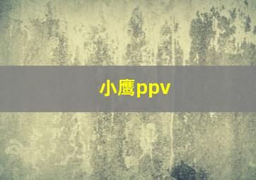 小鹰ppv