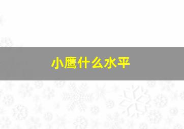 小鹰什么水平