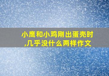 小鹰和小鸡刚出蛋壳时,几乎没什么两样作文