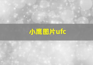 小鹰图片ufc