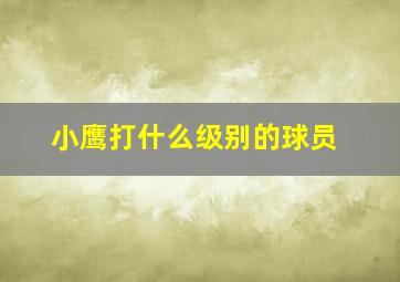 小鹰打什么级别的球员