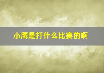 小鹰是打什么比赛的啊