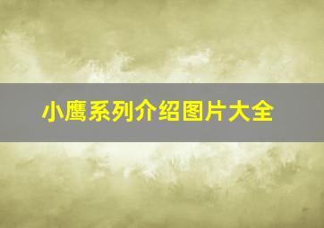 小鹰系列介绍图片大全