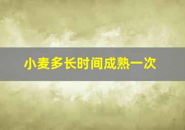 小麦多长时间成熟一次