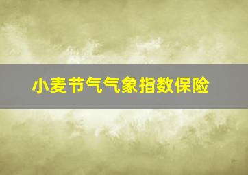 小麦节气气象指数保险