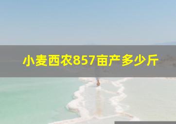 小麦西农857亩产多少斤