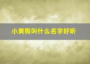 小黄狗叫什么名字好听