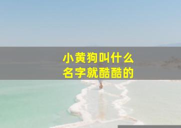 小黄狗叫什么名字就酷酷的