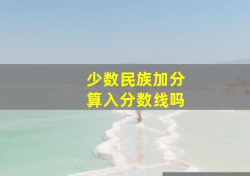 少数民族加分算入分数线吗