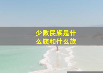 少数民族是什么族和什么族