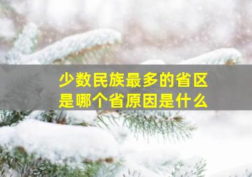 少数民族最多的省区是哪个省原因是什么