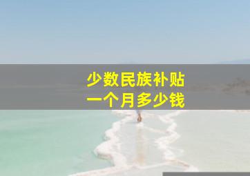 少数民族补贴一个月多少钱