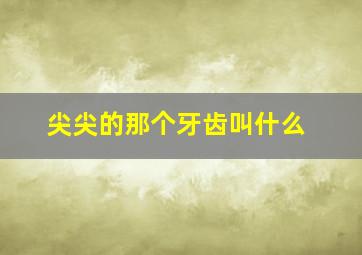 尖尖的那个牙齿叫什么