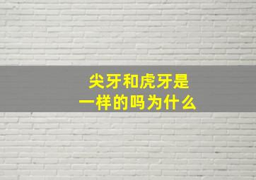 尖牙和虎牙是一样的吗为什么