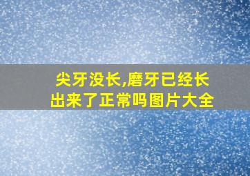 尖牙没长,磨牙已经长出来了正常吗图片大全