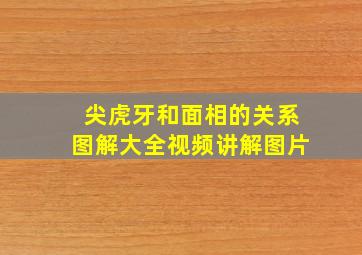 尖虎牙和面相的关系图解大全视频讲解图片