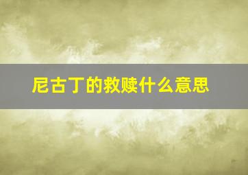 尼古丁的救赎什么意思