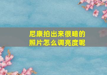 尼康拍出来很暗的照片怎么调亮度呢