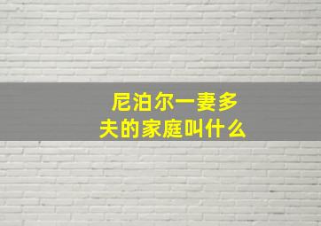 尼泊尔一妻多夫的家庭叫什么