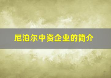 尼泊尔中资企业的简介