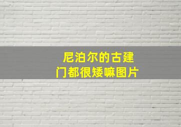 尼泊尔的古建门都很矮嘛图片