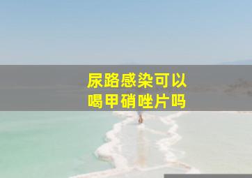 尿路感染可以喝甲硝唑片吗