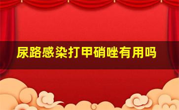 尿路感染打甲硝唑有用吗