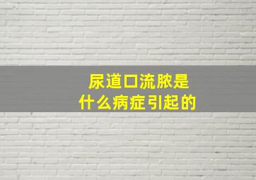 尿道口流脓是什么病症引起的