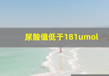 尿酸值低于181umol