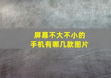 屏幕不大不小的手机有哪几款图片