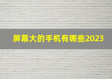 屏幕大的手机有哪些2023