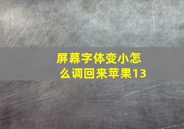 屏幕字体变小怎么调回来苹果13