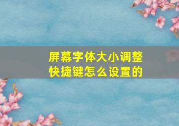 屏幕字体大小调整快捷键怎么设置的