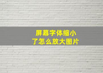 屏幕字体缩小了怎么放大图片