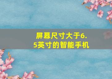 屏幕尺寸大于6.5英寸的智能手机