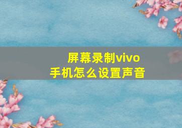 屏幕录制vivo手机怎么设置声音