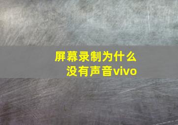 屏幕录制为什么没有声音vivo